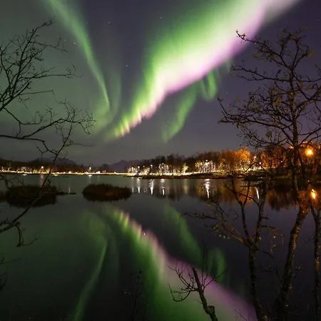 Spacious & Lovely Aurora I Free Parking Semesterbostad *